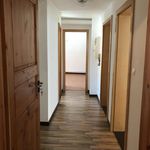 Rent 3 bedroom apartment of 65 m² in Wissembourg