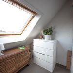 Rent 1 bedroom house in Waregem