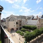 Rent 2 bedroom apartment of 43 m² in ORLEANS
