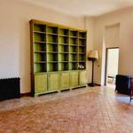 Affitto 6 camera appartamento di 265 m² in Firenze