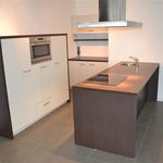 Rent 3 bedroom apartment of 150 m² in Veldhoven