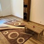 Rent 1 bedroom apartment of 35 m² in Budapest