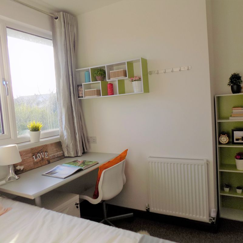 Book Sheriff Avenue Coventry Student Accommodation | Amber Kirby Corner