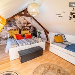 Rent 1 bedroom apartment of 40 m² in Équemauville
