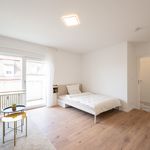 Rent 1 bedroom apartment of 30 m² in Nürnberg