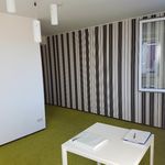 Miete 1 Schlafzimmer wohnung von 55 m² in Schwarzenberg/Erzgebirge