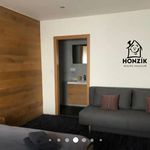 Rent 1 bedroom apartment of 44 m² in Benecko