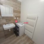 Rent 2 bedroom apartment of 37 m² in Číhošť