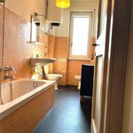 Rent 3 bedroom apartment of 65 m² in Milano