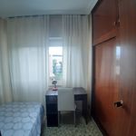 Rent 5 bedroom apartment in Murcia