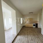 Rent 2 bedroom apartment of 58 m² in Opava