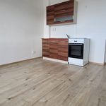 Rent 1 bedroom apartment of 21 m² in Stonava
