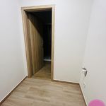 Pronajměte si 1 ložnic/e byt o rozloze 35 m² v Uhelná