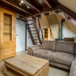 Rent 1 bedroom apartment of 63 m² in Berlare