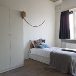 Rent a room of 75 m² in Den Haag
