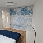 Rent 3 bedroom apartment of 63 m² in Legnica