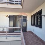 Rent 5 bedroom apartment of 135 m² in Bagheria