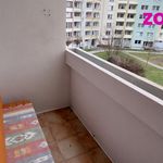 Rent 3 bedroom apartment of 87 m² in Písek