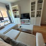 Rent 1 bedroom house of 55 m² in Madrid