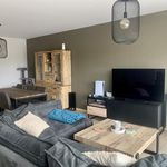 Rent 2 bedroom apartment in Berlare