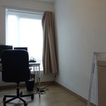 Rent 2 bedroom apartment in Vorselaar