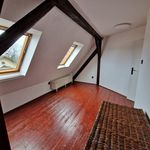 Rent 3 bedroom apartment of 80 m² in Liberec