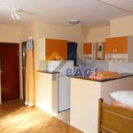 Rent 3 bedroom house of 400 m² in Sisak