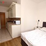 Rent 1 bedroom apartment of 46 m² in České Budějovice