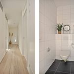 Rent 1 bedroom apartment of 112 m² in Eindhoven