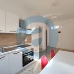 Rent 3 bedroom apartment of 60 m² in Sannicandro di Bari