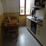 Rent 2 bedroom apartment of 35 m² in Rome