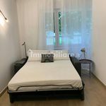 Affitto 1 camera appartamento di 35 m² in Udine