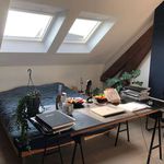 Huur 3 slaapkamer appartement van 250 m² in Bruxelles
