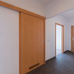 Rent 2 bedroom apartment of 72 m² in Chemnitz
