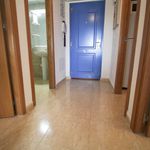 Rent 2 bedroom apartment of 60 m² in Guardamar del Segura