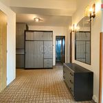Rent 3 bedroom apartment of 60 m² in Opava