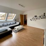 Rent 3 bedroom apartment of 82 m² in Münster