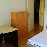 Rent 1 bedroom apartment of 11 m² in Cergy