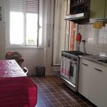 Rent 4 bedroom apartment of 120 m² in Ciampino