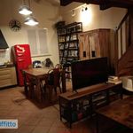 Rent 1 bedroom house of 55 m² in Rome