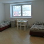 Rent 1 bedroom apartment of 28 m² in Pardubice