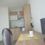 Rent 1 bedroom apartment of 23 m² in Saint-Jean