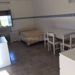 Rent 1 bedroom apartment of 20 m² in Foggia