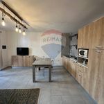 Affitto 1 camera appartamento di 30 m² in San Leucio del Sannio
