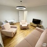 Rent 2 bedroom apartment of 49 m² in Goleniów