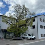 Rent 3 bedroom apartment of 65 m² in Miesenbach bei Birkfeld