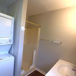 Rent 1 bedroom apartment in Milford