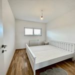 Miete 4 Schlafzimmer haus von 109 m² in Marchegg