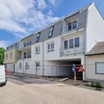 Rent 3 bedroom apartment of 76 m² in Wiener Neustadt