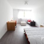 Appartement de 40 m² avec 1 chambre(s) en location à ALLEE HONORE DAUMIER